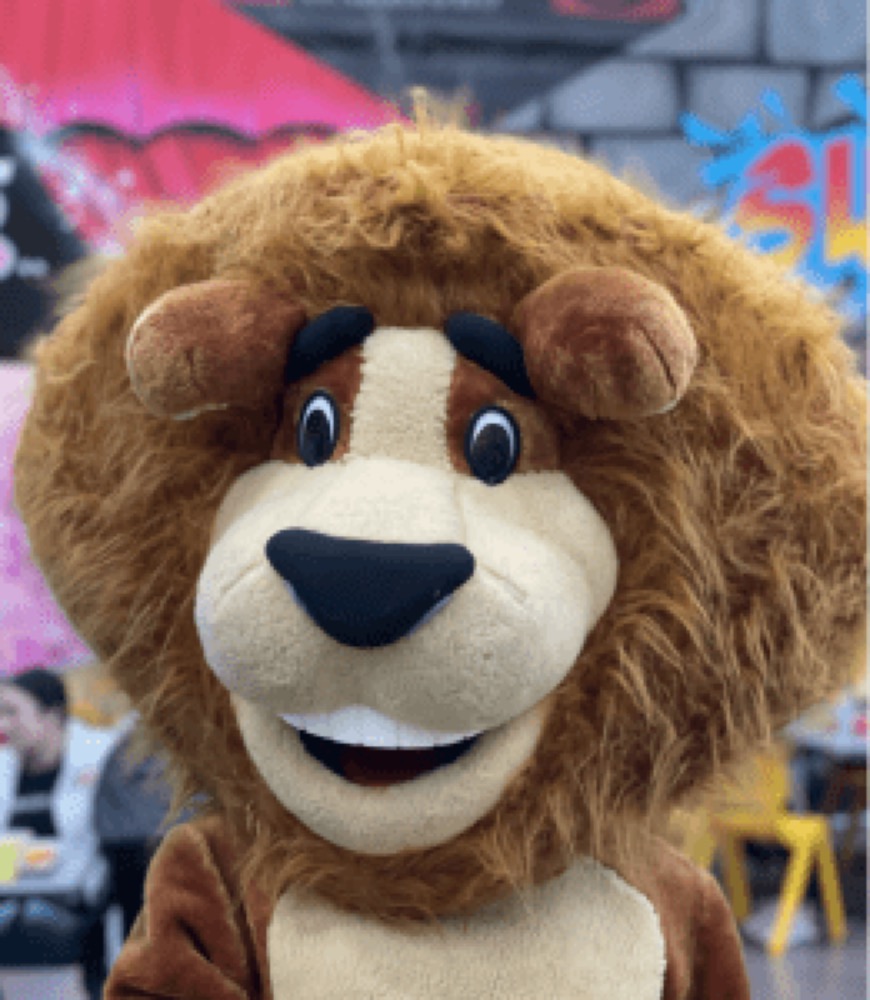 Leo's Kingdom Party & Play Centre Melbourne — operator-published venue or brand image